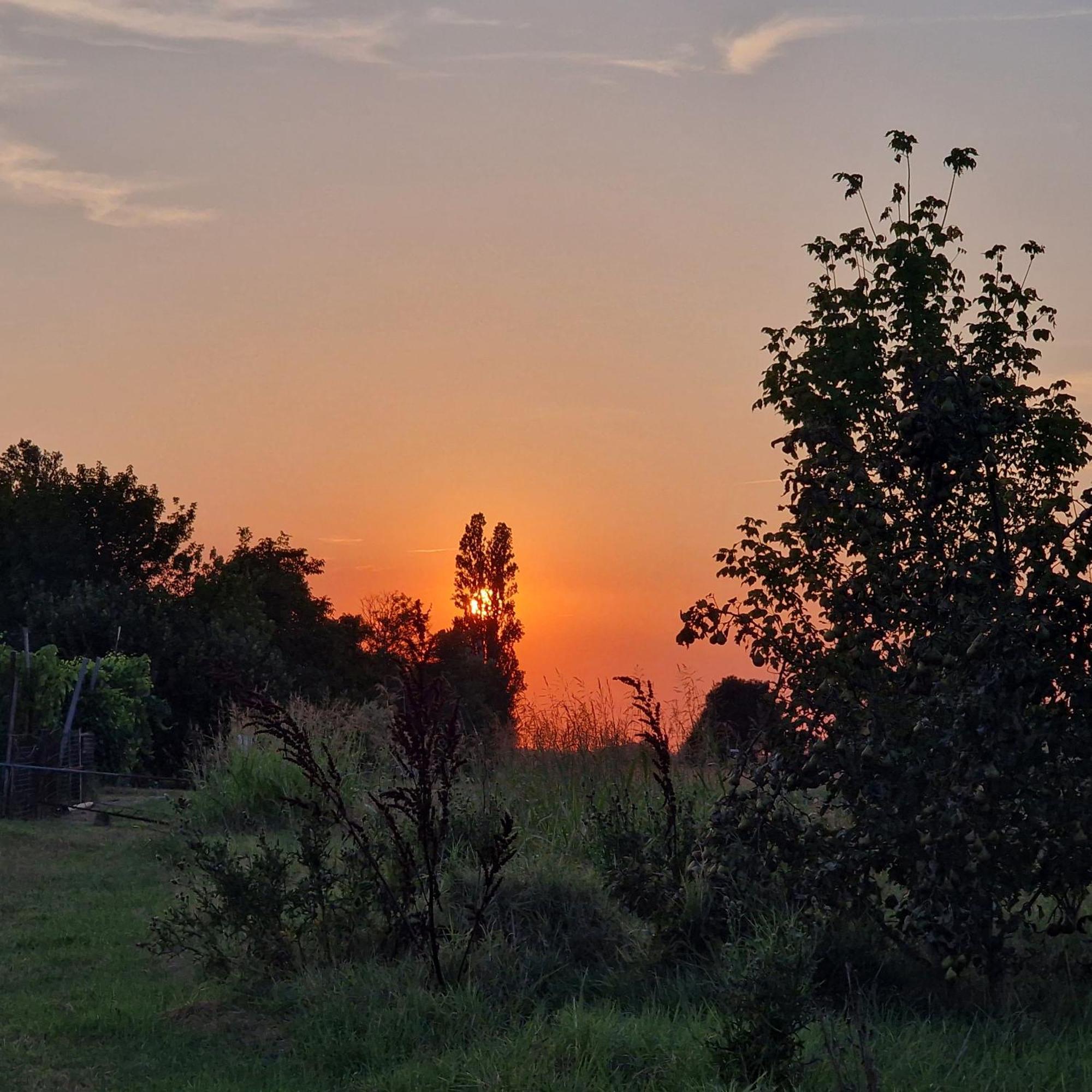 Appartamento Divino Tramonto Altedo Exterior foto