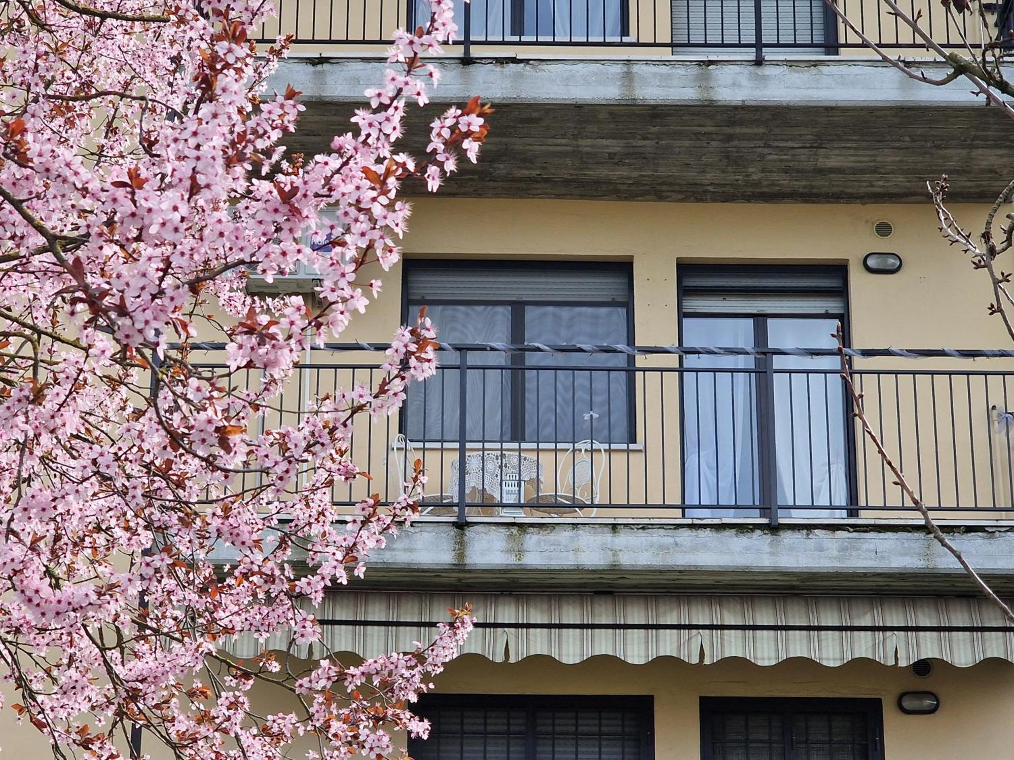 Appartamento Divino Tramonto Altedo Exterior foto